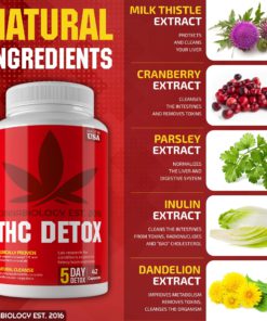 THC Detox Made in USA - BIO-Cleanse - Liver Detox, Urinary Tract & Kidney Cleanse - 5 Day Detox - Broad-Spectrum Toxin Cleanse - Natural THC Remover - Milk Thistle, Cranberry - Vegetarian Capsules 11 81Kp1UKSKlL