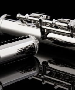 Glory Closed Hole C Flute With Case, Tuning Rod and Cloth,Joint Grease and Gloves Nickel Siver-More Colors available,Click to see more colors 17 81SLzyDCG5L