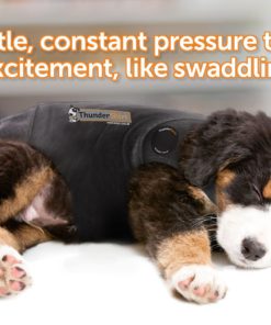 ThunderShirt Classic Dog Anxiety Jacket Large (41-64 lbs) Heather Grey 16 81Vkja2Ba0jL