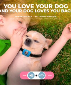 Small Dog Bark Collar Rechargeable - Anti Barking Collar For Small Dogs - Smallest Most Humane Stop Barking Collar - Dog Training No Shock Bark Collar Waterproof - Safe Pet Bark Control Device 15 81WlQth1q9L