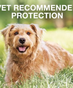 Bayer K9 Advantix II Flea, Tick and Mosquito Prevention for Dogs, 6 Dose 6 doses Over 55 lb 11 81fjgIVixwL 1