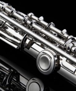 Glory Closed Hole C Flute With Case, Tuning Rod and Cloth,Joint Grease and Gloves Nickel Siver-More Colors available,Click to see more colors 14 81lVKAVfOUL
