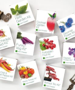 Plant Theatre Forbidden Fruit Kit Gift Box - 5 Delectable Fruits to Grow to Start Growing in one Box! - Great Grow Kit Gift 9 81mZfA7SGyL 1