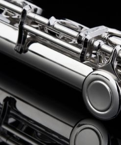 Glory Closed Hole C Flute With Case, Tuning Rod and Cloth,Joint Grease and Gloves Nickel Siver-More Colors available,Click to see more colors 16 81oDYWDUCpL