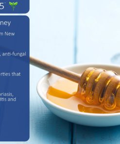 Seborrheic Dermatitis Cream with Manuka Honey, Coconut Oil and Aloe Vera - Moisturizing Face and Body Anti Itch Cream and Skin Treatment for Sensitive Skin - Natural & Organic Cream (2 oz) 2 Ounce 16 81rd1VkuY7L