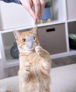 SmartyKat Catnip Cat Toys Skitter Critters 16 81vlPUsCPeL