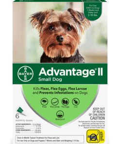 Alternative view of Bayer Advantage II Topical Flea Treatment for Small Dogs, 3-10 lbs 6 doses 3-10 lb