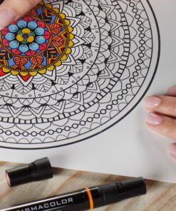 Prismacolor 1759444 Premier Double-Ended Art Markers, Fine and Chisel Tip, Manga Colors, 12-Count Standard Packaging 14 914EAjU6JzL