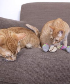 SmartyKat Catnip Cat Toys Skitter Critters 20 91H4jHpEbHL