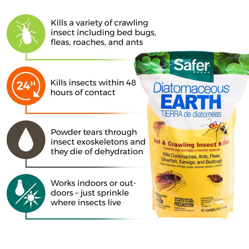Safer 51703 Diatomaceous EarthBed Bug Flea, Ant, Crawling Insect Killer 4 Lb Swiftsly
