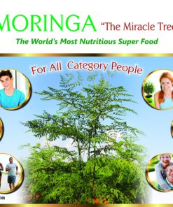 Organic Moringa Leaf Powder (16Oz -1Lb). USDA Certified Organic. Raw Green Super Food, Energy Boost, Multivitamin, Healthy Nutrition and Metabolism. Non GMO and Gluten Free. In a Food Grade Container. 16 Oz - $26.95