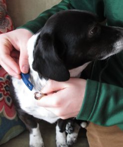 Don Sullivan Perfect Dog Command Collar with Extra Links and DVD, Large 12 91efHxjuLsL