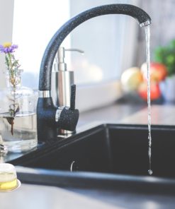 BEAPCO Fruit Fly Traps, Non Toxic Indoor Live Catcher/Killer, 6-Pack 8 91ljX8nXa1L