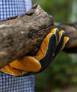 14.5" Long Premium Leather Gloves, BBQ gloves, Grill and Fireplace Gloves, Cotton lining with Kevlar stitch, Heat Resistant Gloves, animal handling gloves, bite-proof gloves Grain Finish Back/Suede Finish Palm. 15 91lrbGnGl8L