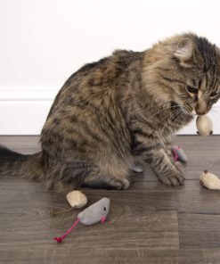 SmartyKat Catnip Cat Toys Skitter Critters 19 91pAEYLSTUL