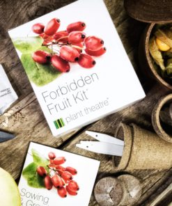 Plant Theatre Forbidden Fruit Kit Gift Box - 5 Delectable Fruits to Grow to Start Growing in one Box! - Great Grow Kit Gift 8 91t6tdgYKHL