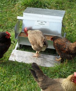 Grandpa's Feeders Automatic Chicken Feeder - Sturdy Galvanized Steel Poultry Feeders - No Spill with Weatherproof Lid - Standard Size for 6-12 Chickens 10 Days (20lb Feed) 9 A1K7KpY9QxL