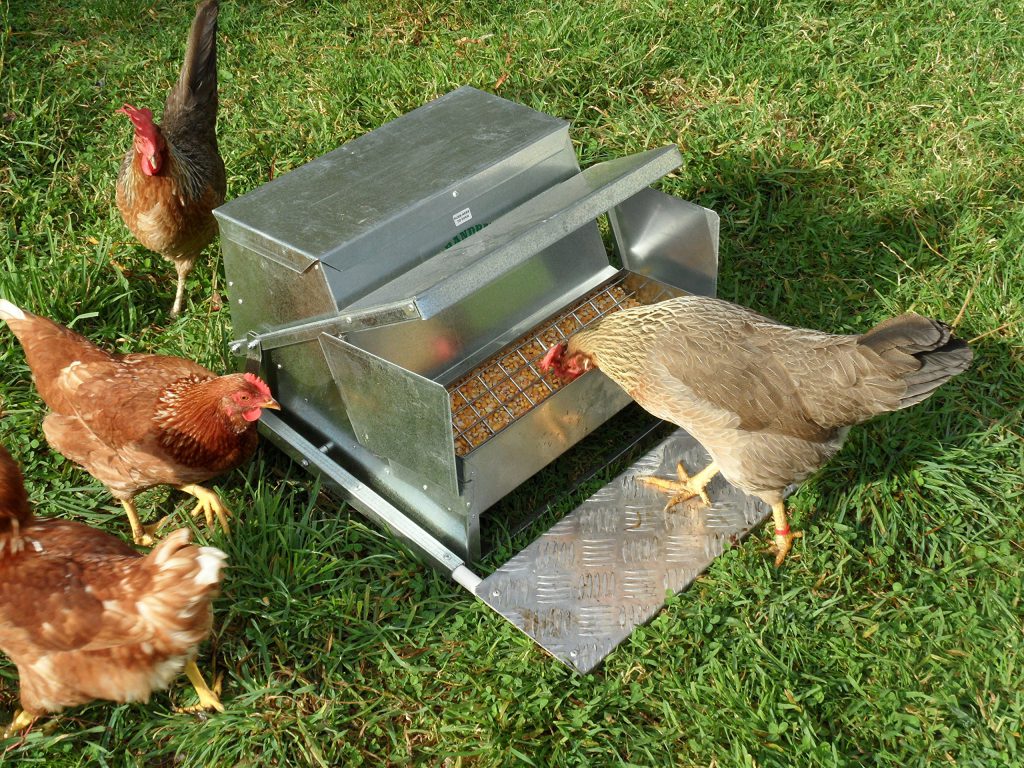 Grandpas Feeders Automatic Chicken Feeder Sturdy Galvanized Steel Poultry Feeders No Spill 