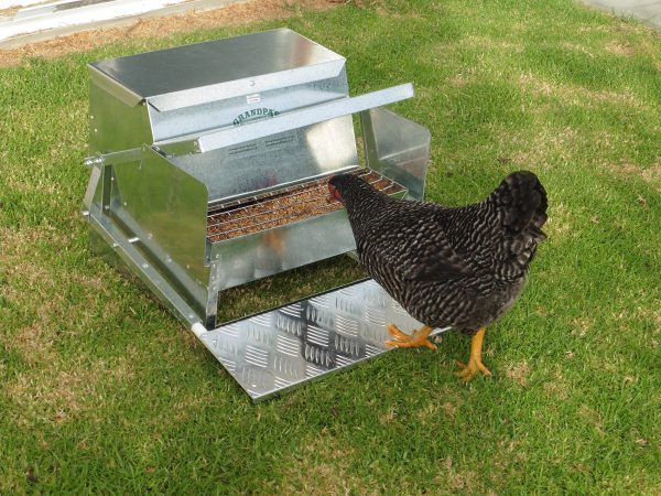 Grandpa's Feeders Automatic Chicken Feeder - Sturdy Galvanized Steel Poultry Feeders - No Spill with Weatherproof Lid - Standard Size for 6-12 Chickens 10 Days (20lb Feed) - $154.95