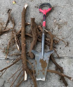 Radius Garden 22011 Root Slayer Shovel – 2017 Green Thumb Award for Most Inn, (Red) Root Slayer (Red) 9 B1DQ4zHfuDS