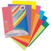 Pacon Card Stock 8 1/2 Inches By 11 Inches Colorful Assortment 250 Sheets (10.. - $6.95
