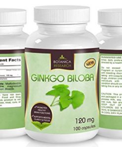 All Natural Ginkgo Biloba Leaf Extract Supplement - 120 Mg Nootropic For Brai.. - $24.95