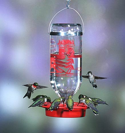 Best-1 Hummingbird Feeder Replacement Bottom - $15.95