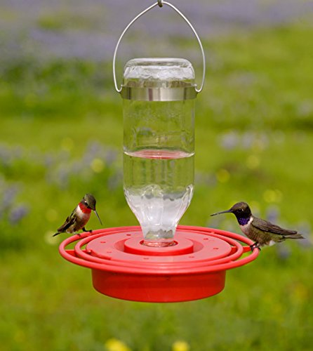 Best-1 Hummingbird Feeder Replacement Bottom - $15.95