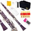 Glory Purple/Silver keys B Flat Clarinet with Second Barrel, 11reeds,8 Pads cushions,case,carekit,Click to see More colors - $317.95