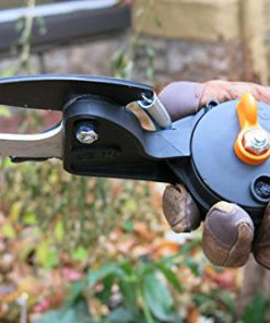 Fiskars 7.9-12 Foot ExtendableTree Pruning Stik Pruner (92406935K) Pack of 1 7 51HJTrJhmsL