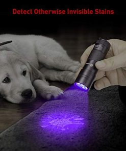 TaoTronics Black Light, 12 LEDs 395nm UV Blacklight Flashlights Detector for Pets Urine and Stains with 3 Free AAA Batteries - $12.95