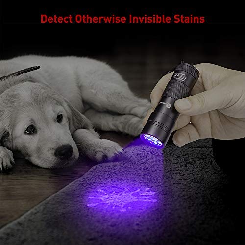TaoTronics Black Light, 12 LEDs 395nm UV Blacklight Flashlights Detector for Pets Urine and Stains with 3 Free AAA Batteries - $12.95