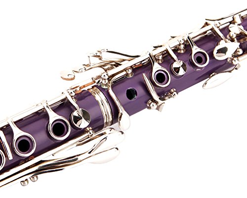 Glory Purple/Silver keys B Flat Clarinet with Second Barrel, 11reeds,8 Pads cushions,case,carekit,Click to see More colors - $85.95