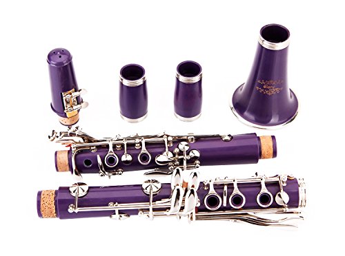 Glory Purple/Silver keys B Flat Clarinet with Second Barrel, 11reeds,8 Pads cushions,case,carekit,Click to see More colors - $85.95