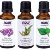 3-Pack Variety of NOW Essential Oils: Tea Tree, Eucalyptus, Lavender Top 3 Oils - $22.95