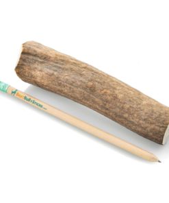 Grade-A Whole Elk Antler Dog Chew (1 Antler) Sourced In The Usa - $24.95