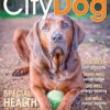 Citydog Magazine - $17.95