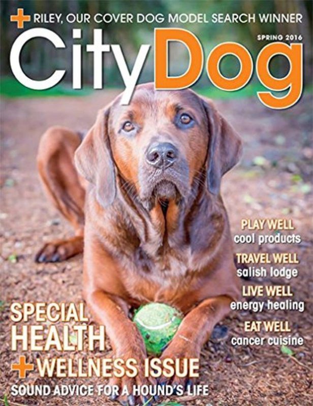 Citydog Magazine - $24.95