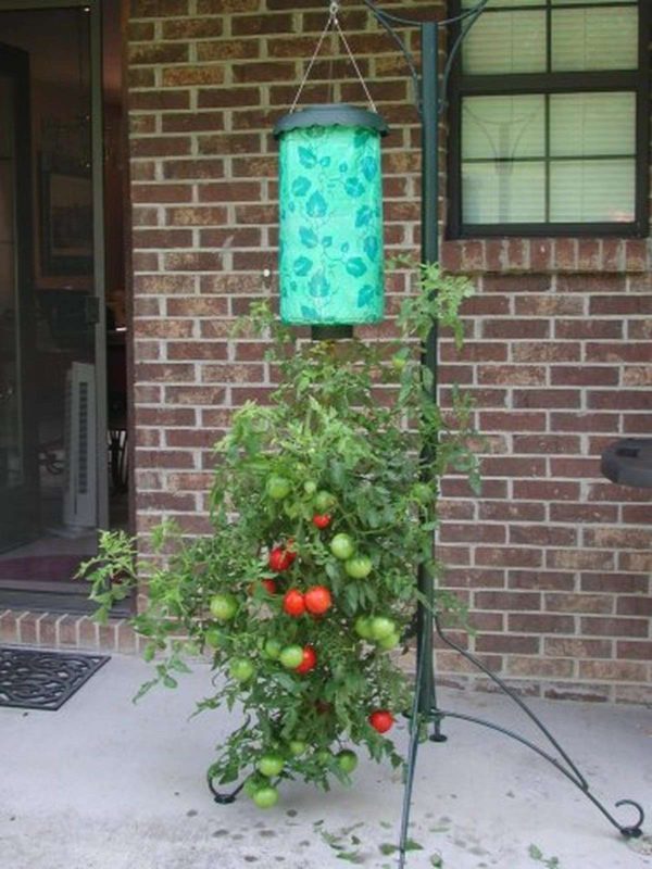 Felknor Ventures 82506 Topsy Turvy Upside-Down Tomato Planter 1 - $17.95