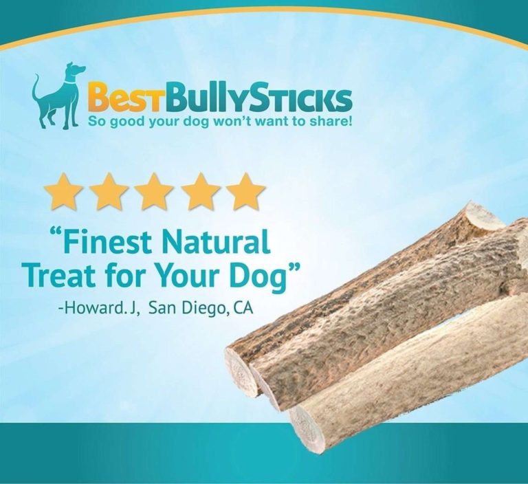 Grade-A Whole Elk Antler Dog Chew (1 Antler) Sourced In The Usa - $24.95