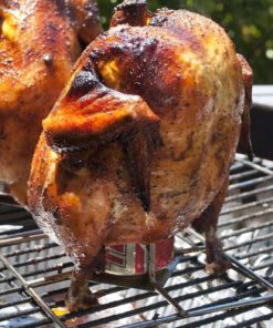 Steven Raichlen Best Of Barbecue Beer-Can Chicken Rack With Canister And Drip.. - $23.95