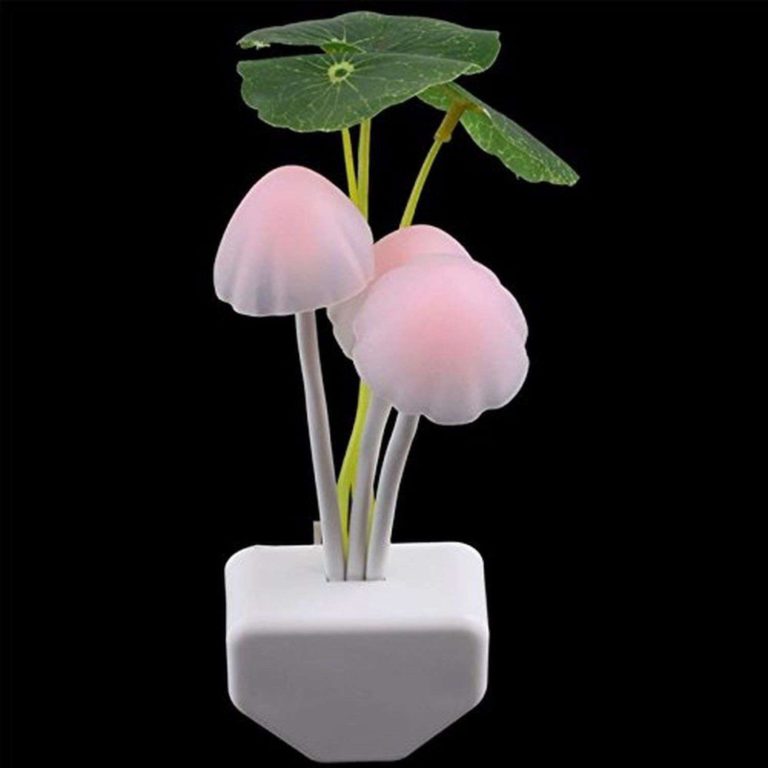 1 X Crazydeal New Colours Romantic Led Mushroom Dream Night Light Bed Lamp Ge.. - $9.95