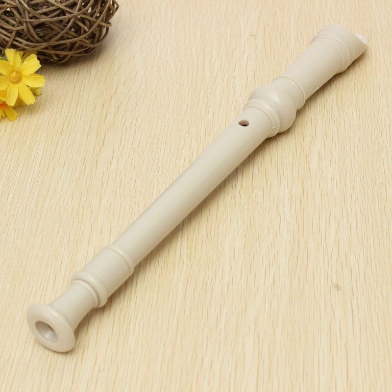 Kingso Soprano Descant Recorder 8-Hole With Cleaning Rod + Case Bag Music Ins.. - $12.95