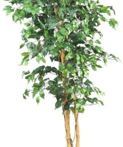 Nearly Natural 5209 Ficus Silk Tree 6-Feet Green 35 Diam. X 72H In.
