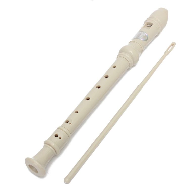 Kingso Soprano Descant Recorder 8-Hole With Cleaning Rod + Case Bag Music Ins.. - $12.95