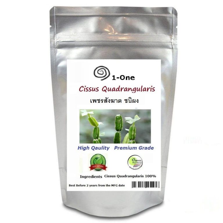 Cissus Quadrangularis Powder 500 g. Vitis Rosids Angiosperms 100% natural - $57.95