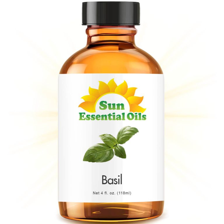 Basil (Large 4 ounce) Best Essential Oil Basil 4 Fl. Oz - $9.95
