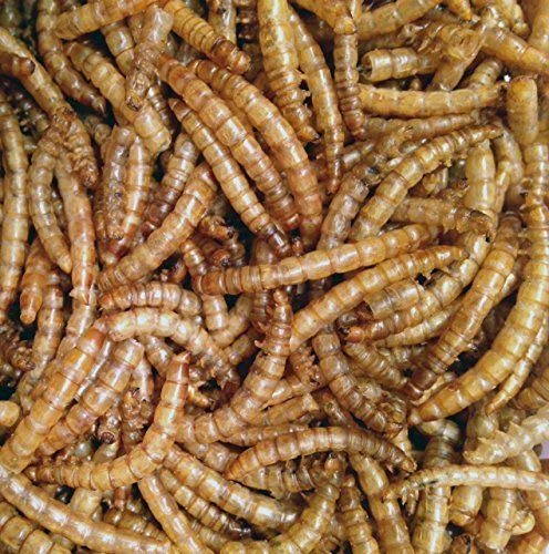 NaturesPeck Mealworm Time Dried Mealworms from (5 lbs) -Non-GMO for Chickens & Wild Birds - $49.95
