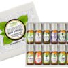 Healing Solutions Beginners Aromatherapy Essential Oil Kit (Pack of 14) 14 Count - $22.95