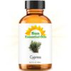 Cypress (2 fl oz) Best Essential Oil - 2 ounces (59ml) - $14.95